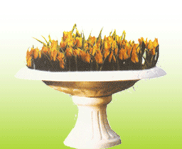 139-花盆
